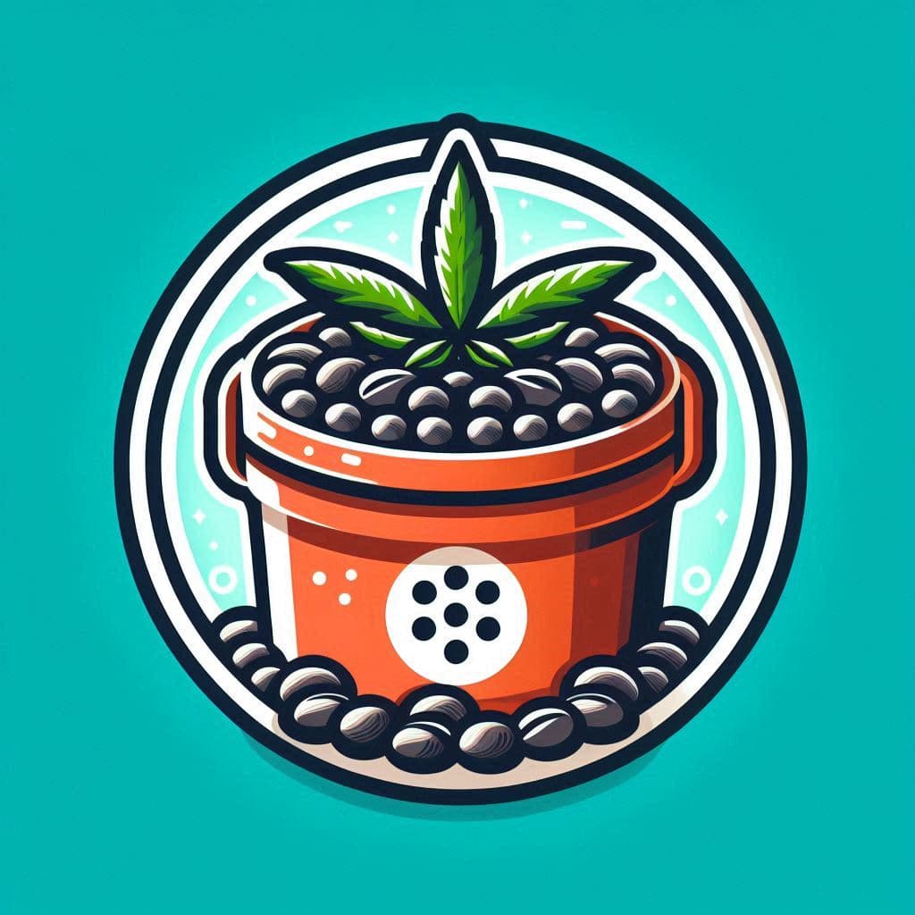 Grow Cannabis Seeds in Massachusetts