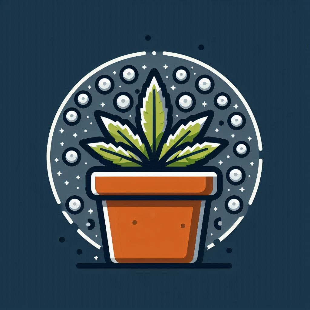 Grow Cannabis Seeds in New York