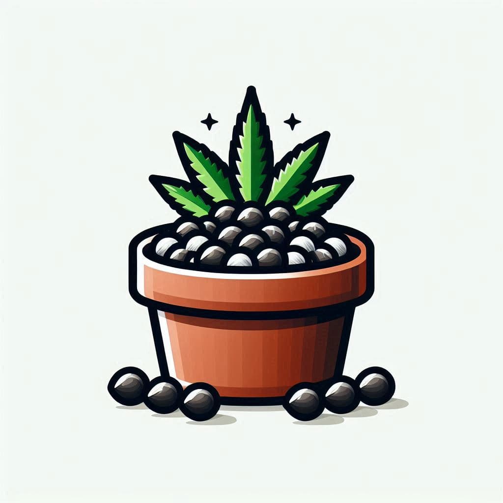 Grow Cannabis Seeds in South Carolina