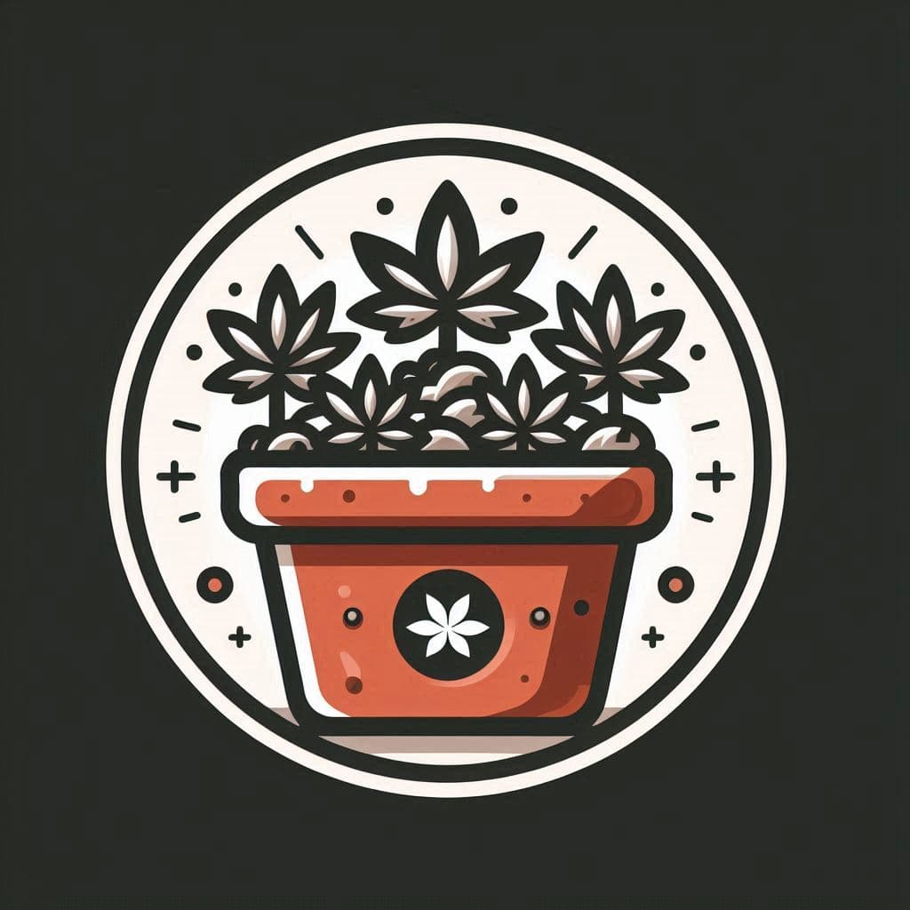 Buy Cannabis Seeds in Florida